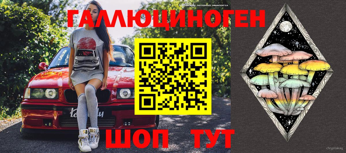как найти наркотики  Псилоцибиновые грибы Magic Shrooms  Вход с VPN  Канск 