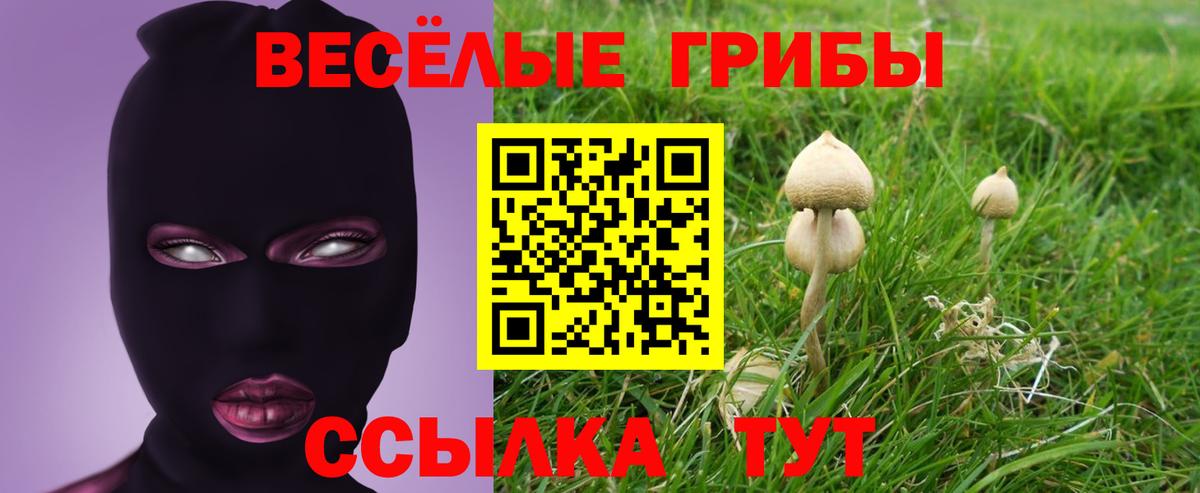 Галлюциногенные грибы прущие грибы Канск