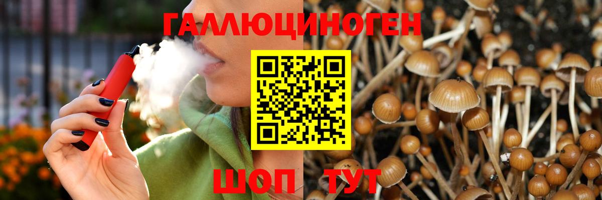 Гашиш  Бошки Шишки  Канск  Кокаин  АМФ   МЕФ кристаллы  MDMA  Экстази  Вход с VPN  Alpha-PVP СОЛЬ кристаллы 